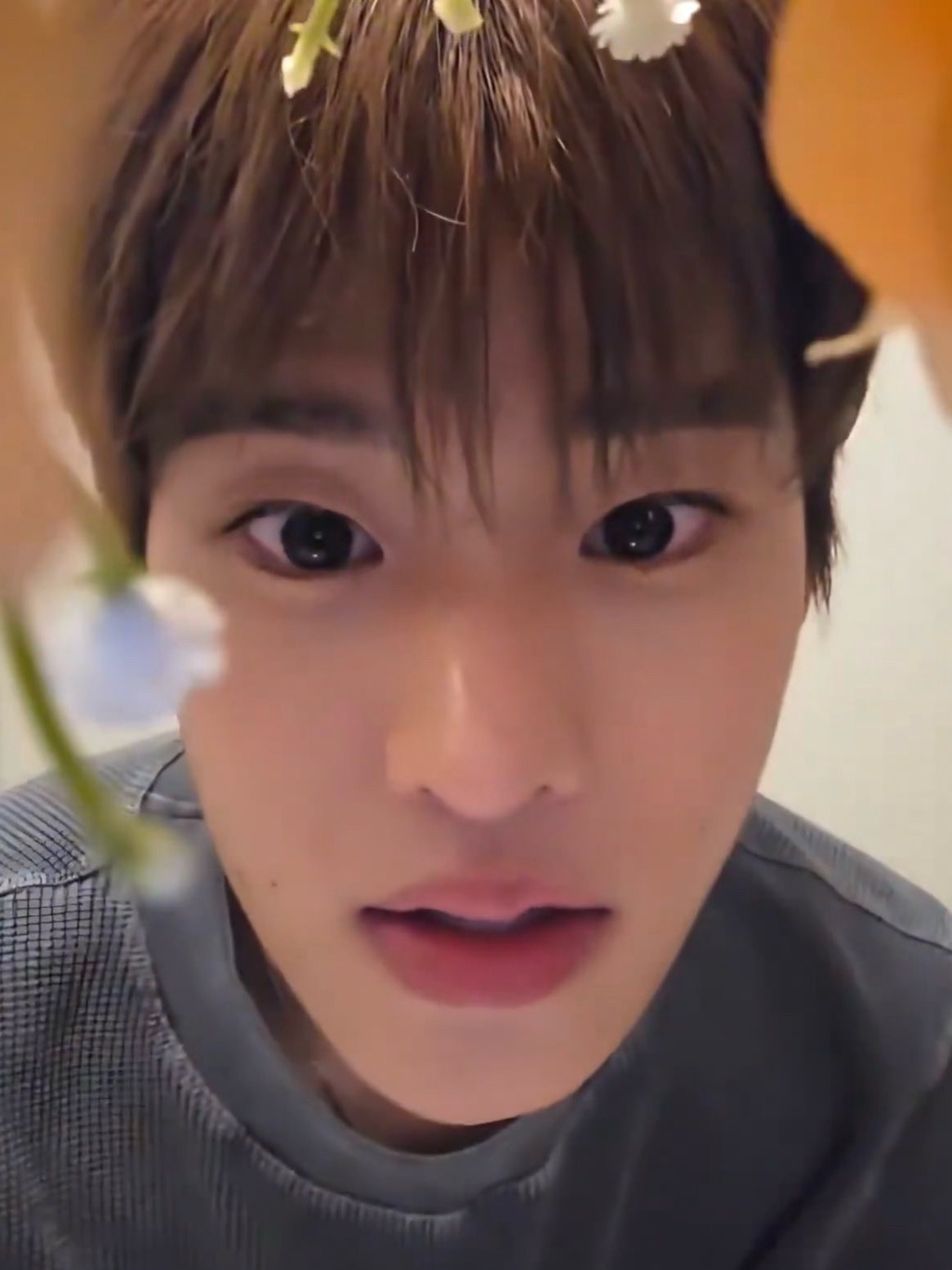 准备回看这场花花直播🌸 