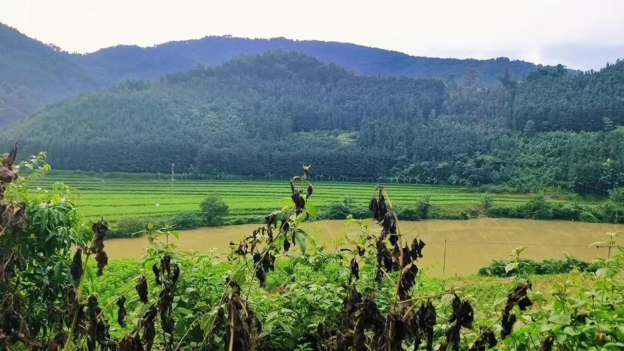 今日行至一处，见河水九曲潆洄，峰峦四面合围。碧波折作两三弯，静淌无声。两岸几亩田