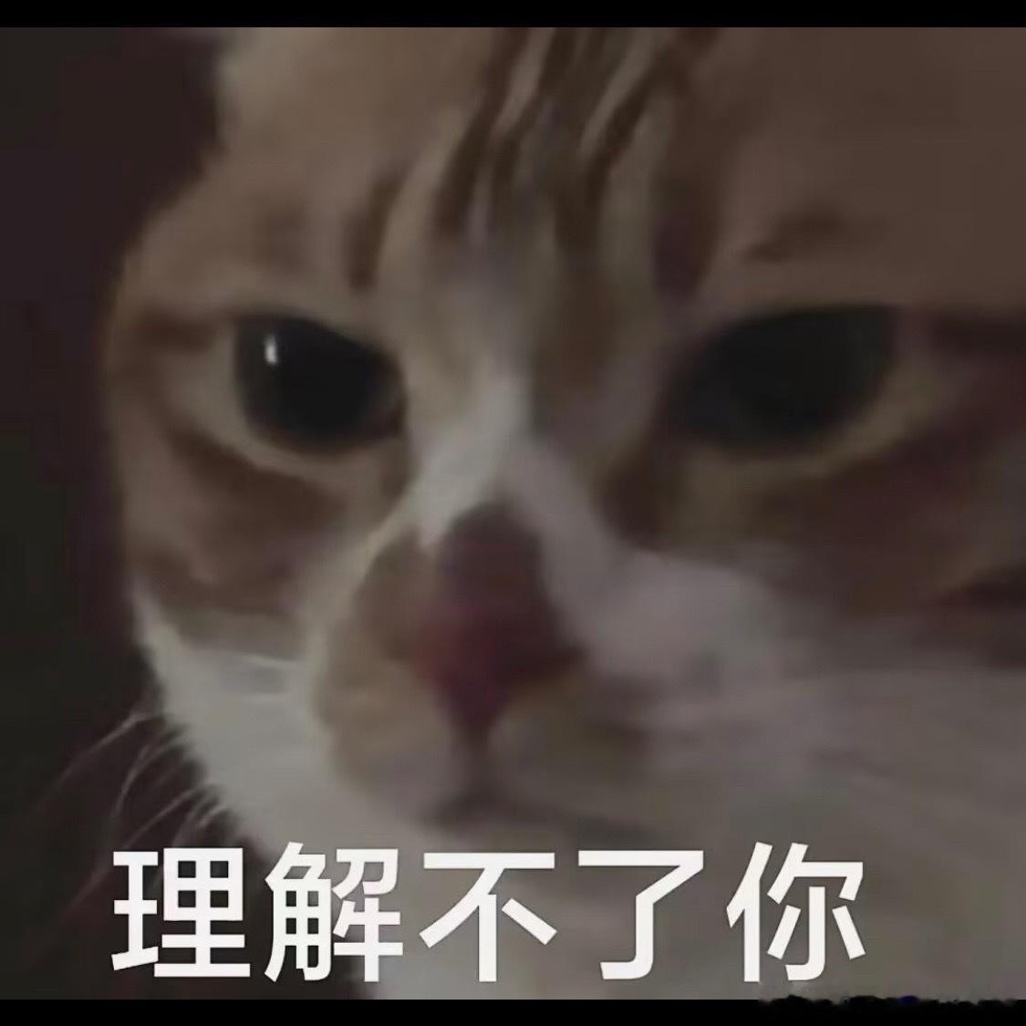 张凌赫关晓彤要做白玉兰主持人？主持界没人了嘛 