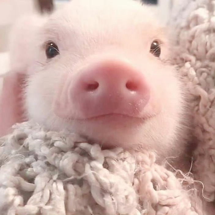 ·yxh内容均为了🐑薅 与本人观点立场和粉籍无关 素材来自网络侵/删网页链接网