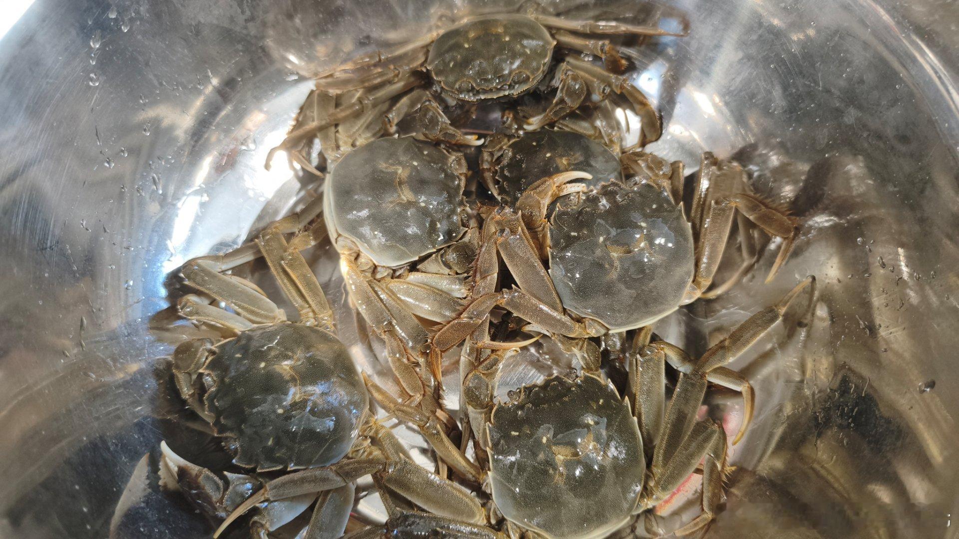 家人从发小直播间买的盘锦小河蟹，一两一个，不到四块钱一只，虽然小，但是黄特别满特