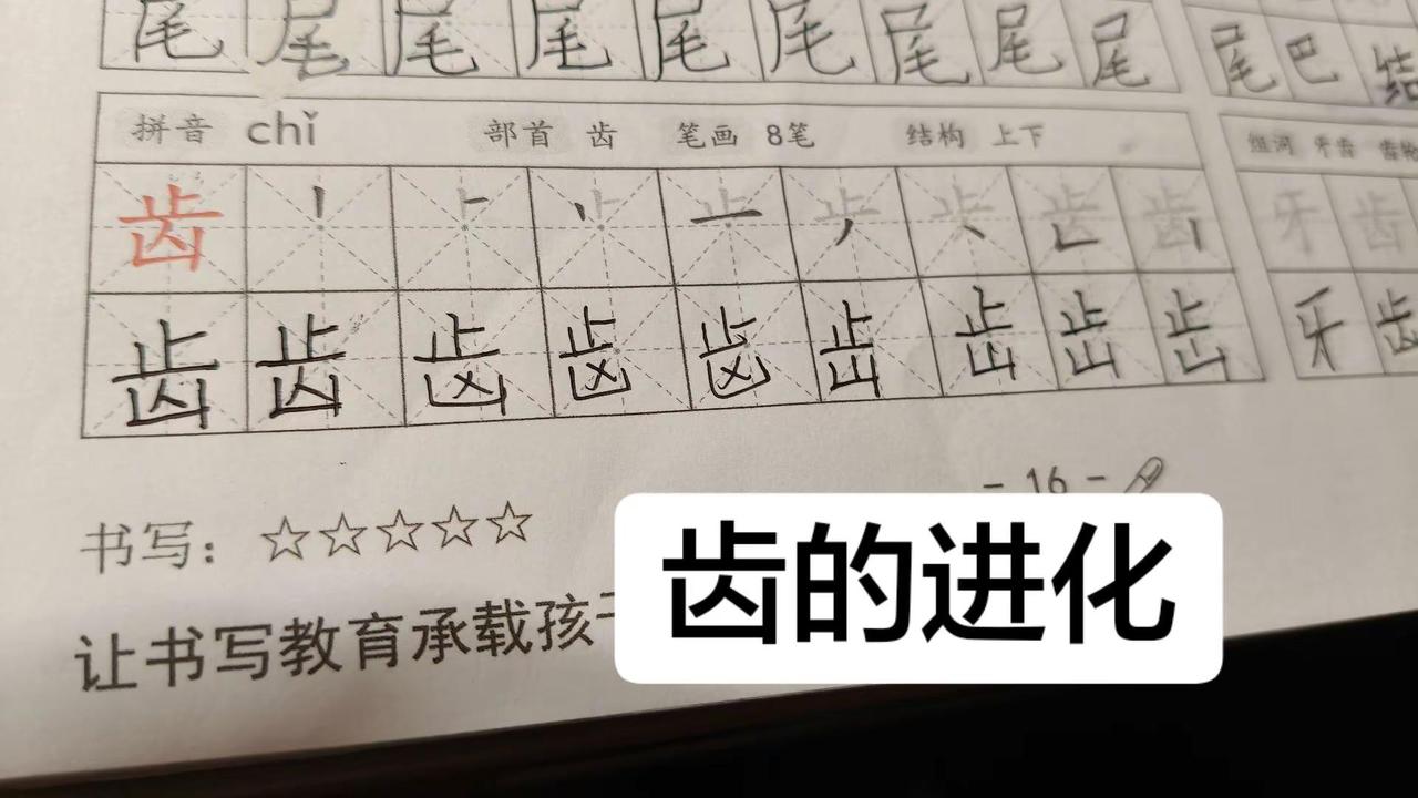 这期神了兄弟们。小学生写生字