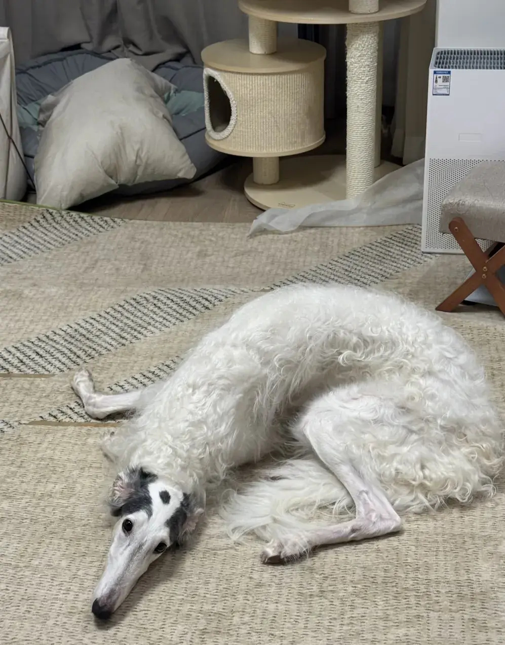 离谱了……