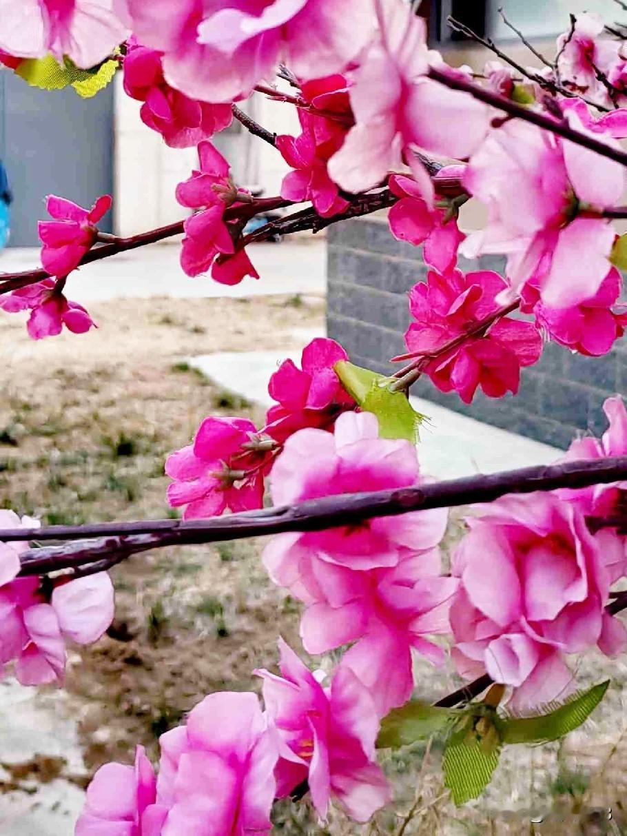 [玫瑰]友早安！
一年一年又一年
春节瞬间在眼前

蛇去马至添好运
福禄寿星全进