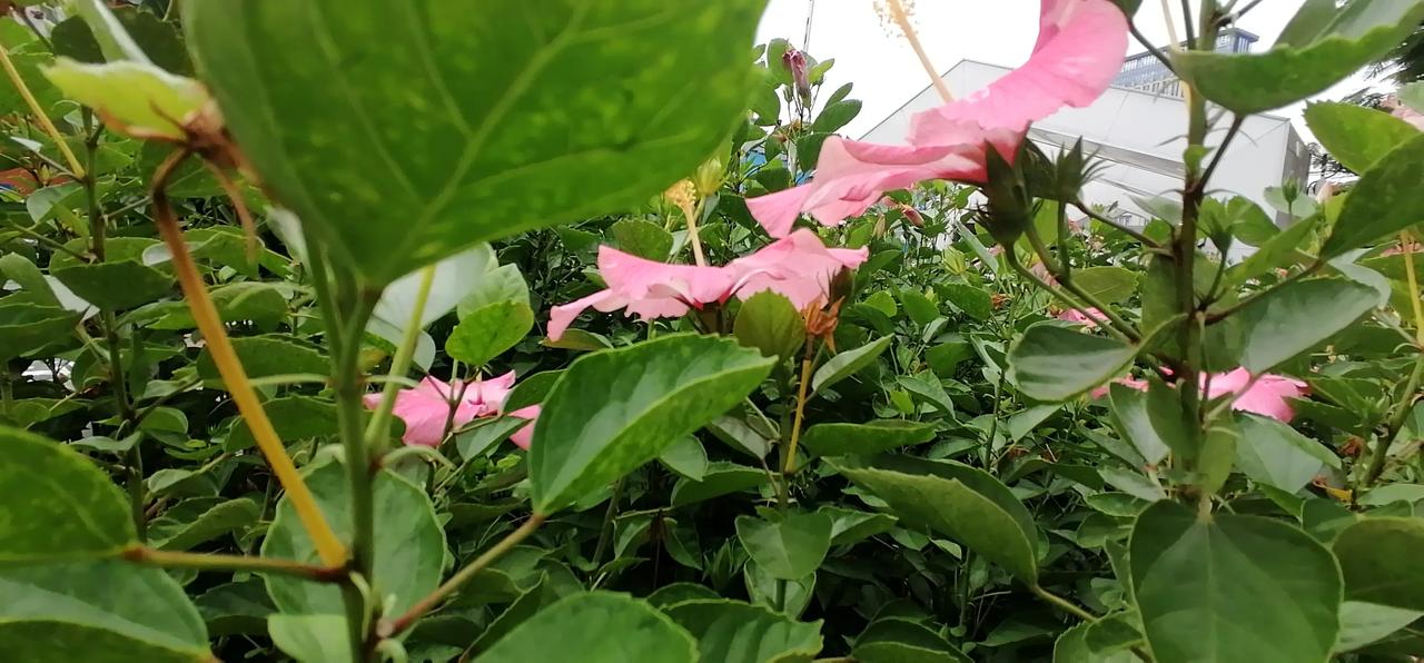 散步回来，本来就是滿头、滿身的大汗，进屋的时候，听到洗衣机
