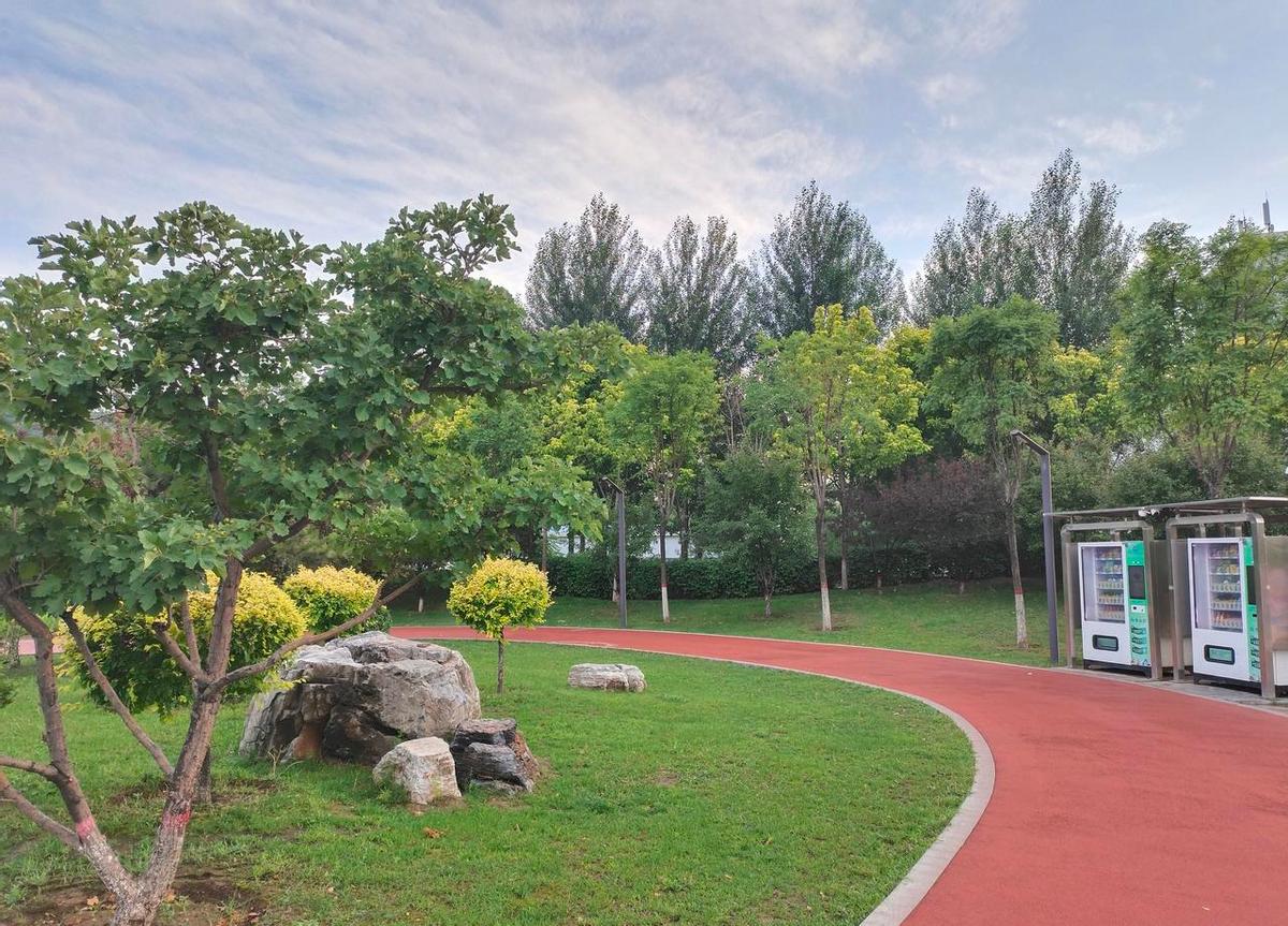 68岁阿姨天天染发，不是装嫩，是怕被世界忽略。
头发白了，日子不能白过。
她不是