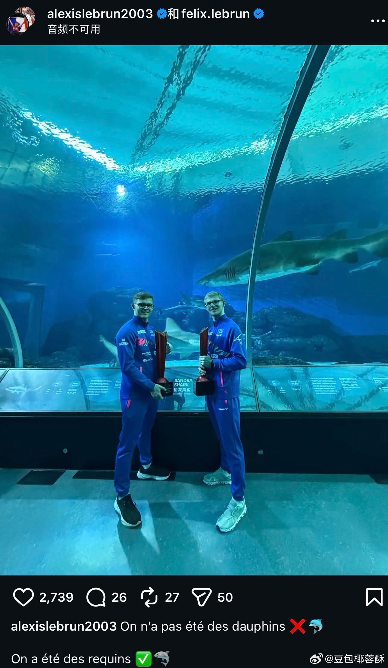 他俩配文“我们不是海豚我们是鲨鱼🦈”你俩配啥文莎莎楚钦在这鲨鱼馆里