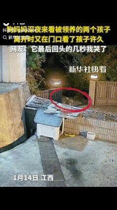 看哭了！江西这户人家的监控画面，道尽了母爱的伟大，这份爱从来都不分物种！领养的两
