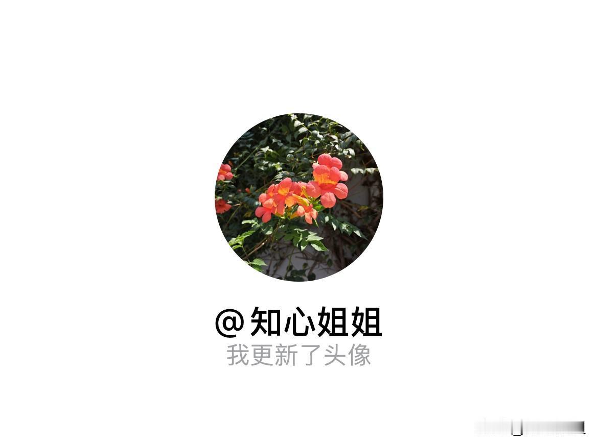 快来看看我新换的头像吧