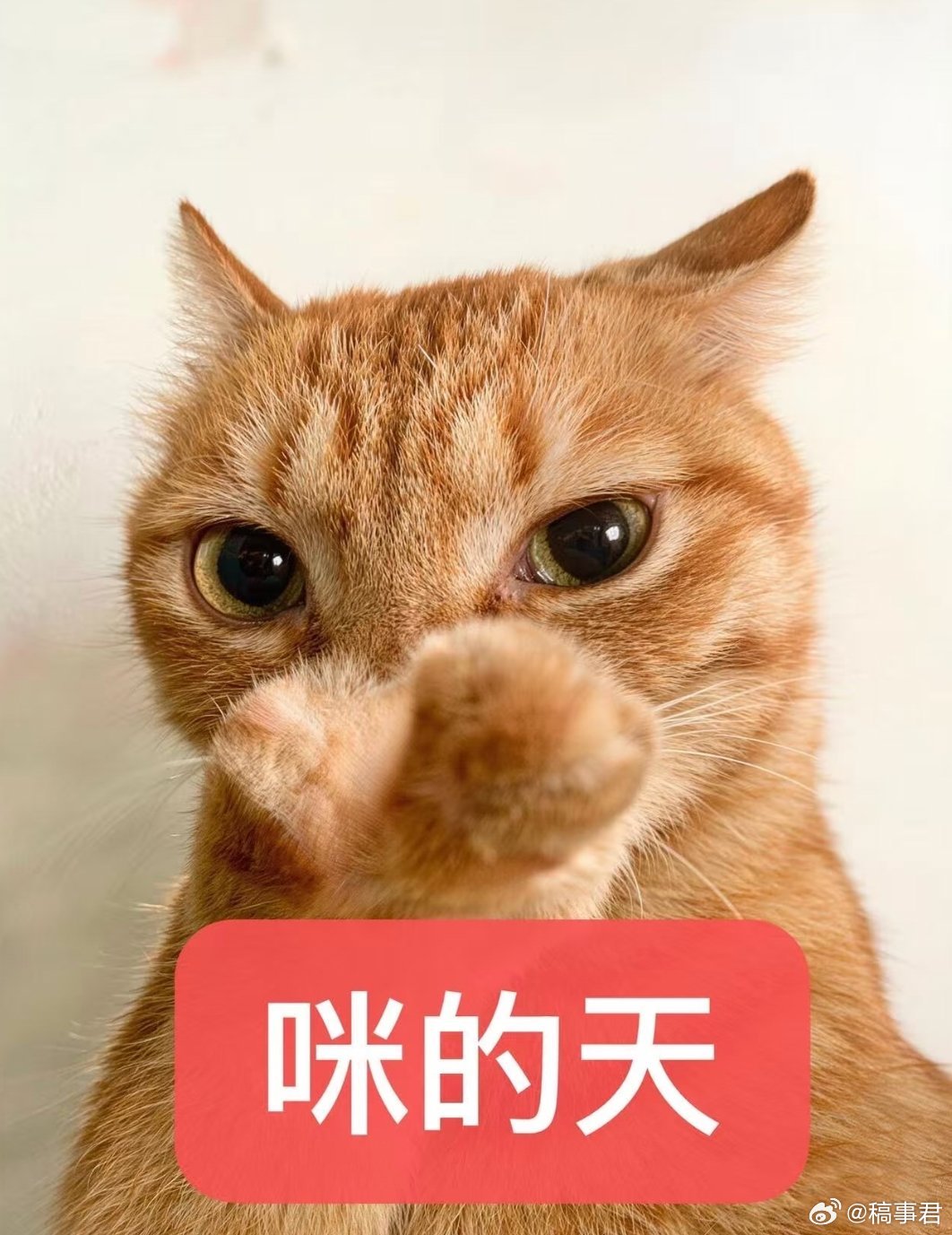 迪丽热巴 滞留迪拜咪的天呐，不直飞巴黎就算了，还从中东转机，非粉都震撼的程度。身