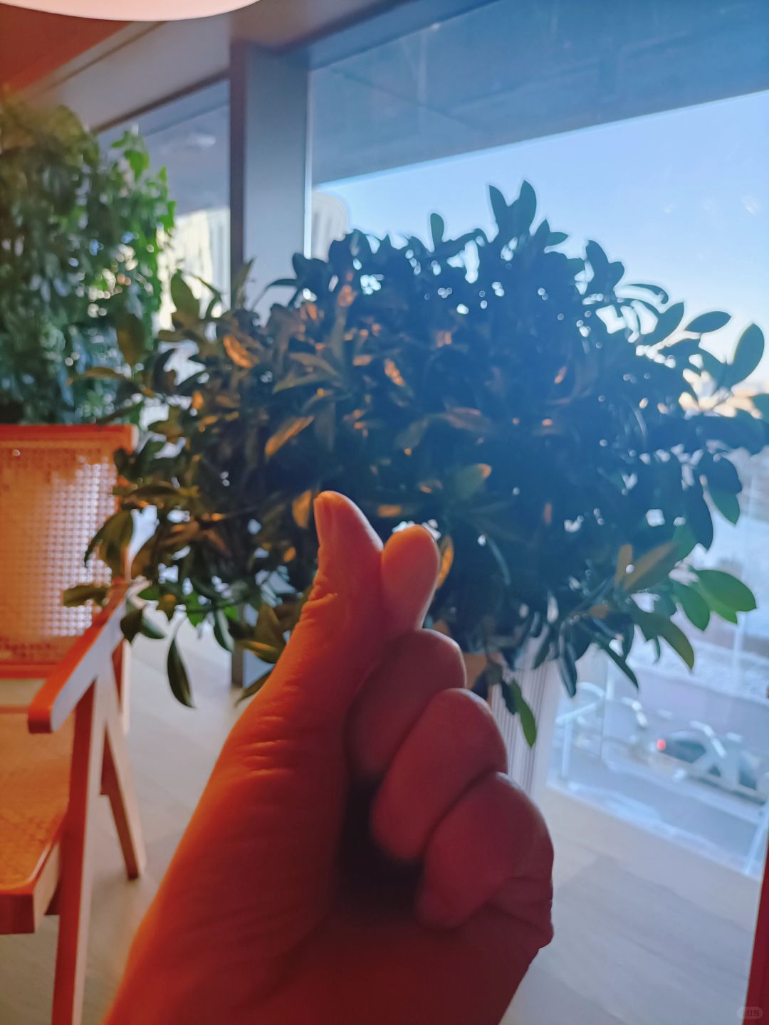 1万粉啦，感谢大家抬爱。说点不一样的