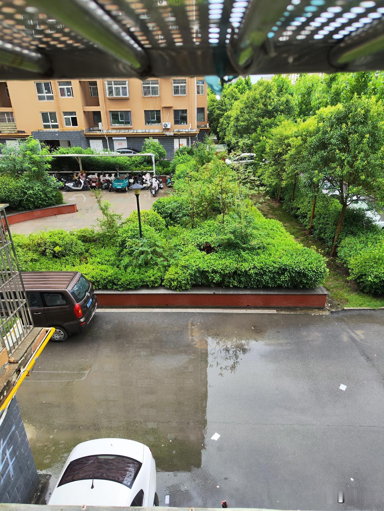 我的今日状态：🏃‍➡️休息
我这里的天气：大雨🌧️

今日一场大雨，已下5个