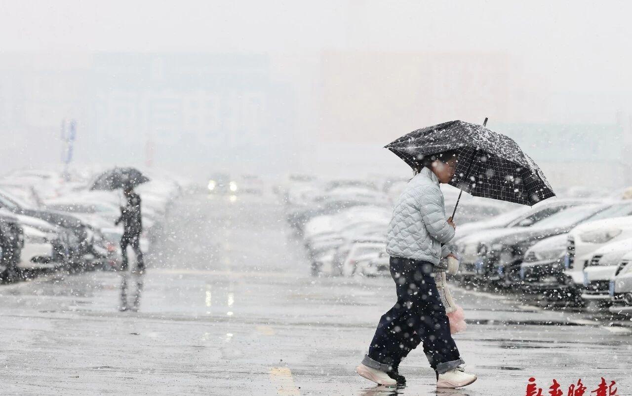 【长春下起鹅毛大雪】4月6日，长春迎来一场猝不及防的春雪，鹅毛般的雪片，在午后骤