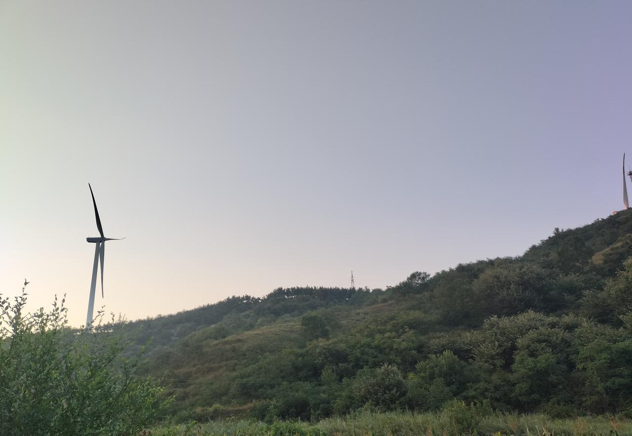 夏天养多肉，对懒人来说简直是救星。颗粒土一铺，浇水不用掐着手指头算，肉肉照样发根