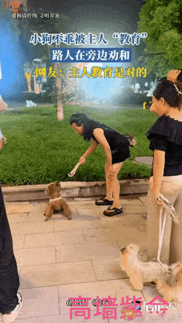 小狗的天性，这么难为它干嘛？无论是怎么打都打不过来的，必须要接受这个现实，真正爱