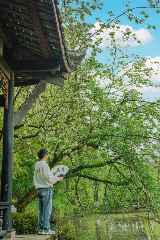 成都.适合一个人闲逛的100个地方（28/100）