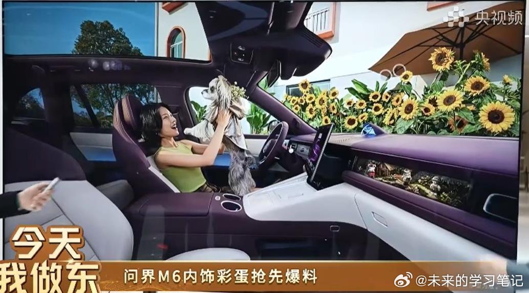 问界m6 内饰来了，双拼色，除了四维随动屏，副驾位置可以多看看