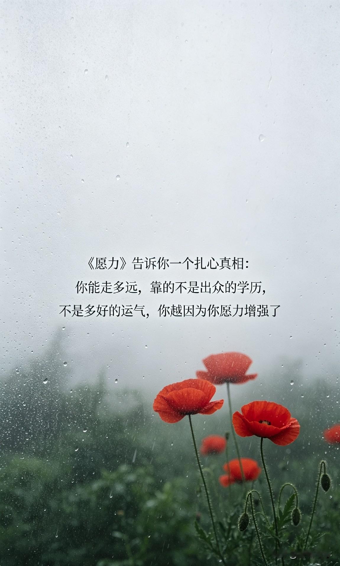《愿力》告诉你一个扎心真相：你能走多远，靠的不是出众的学历，不是多好的运气，你越