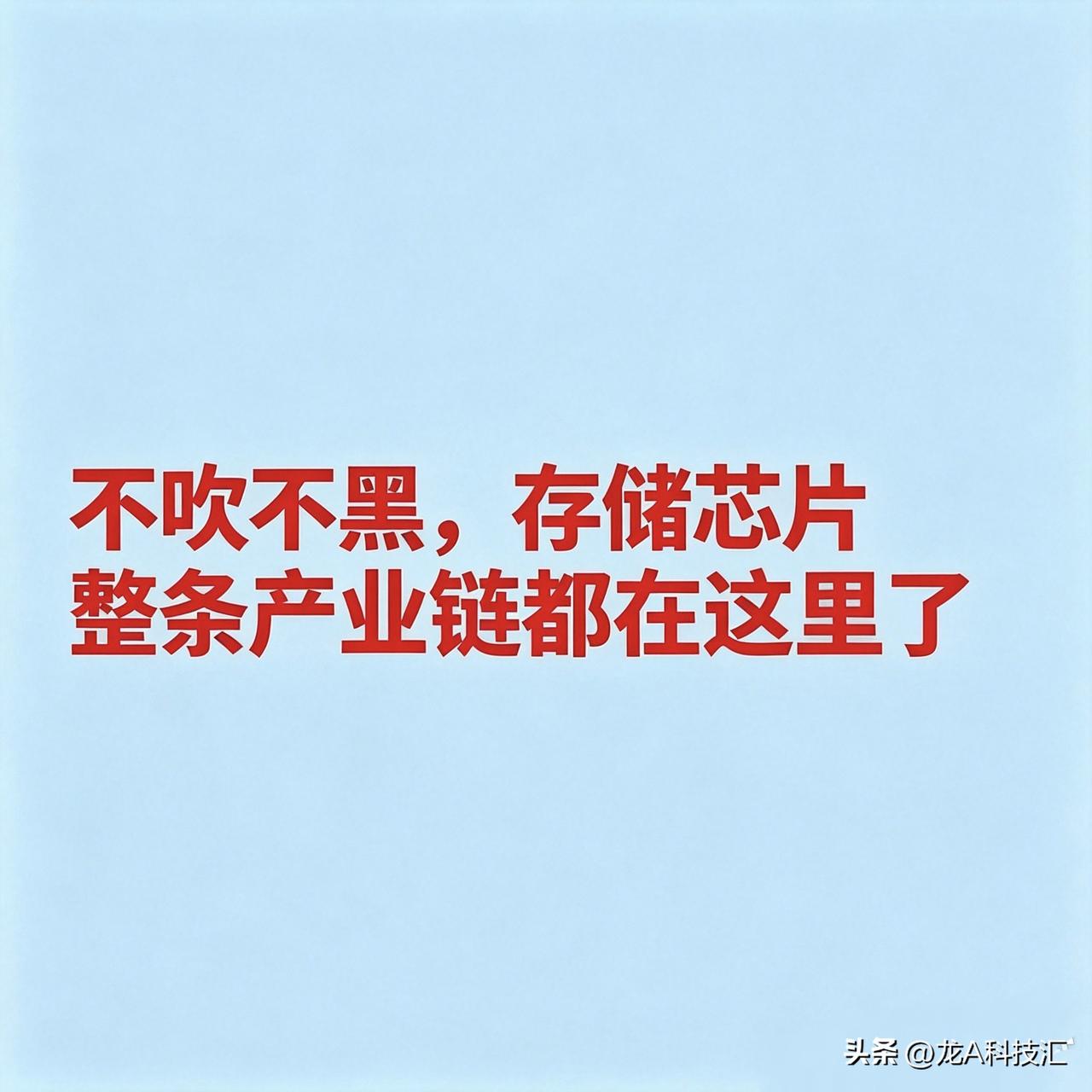 不吹不黑，存储芯片整条产业链都在这里了

存储芯片三巨头（三星、SK海力士、美光