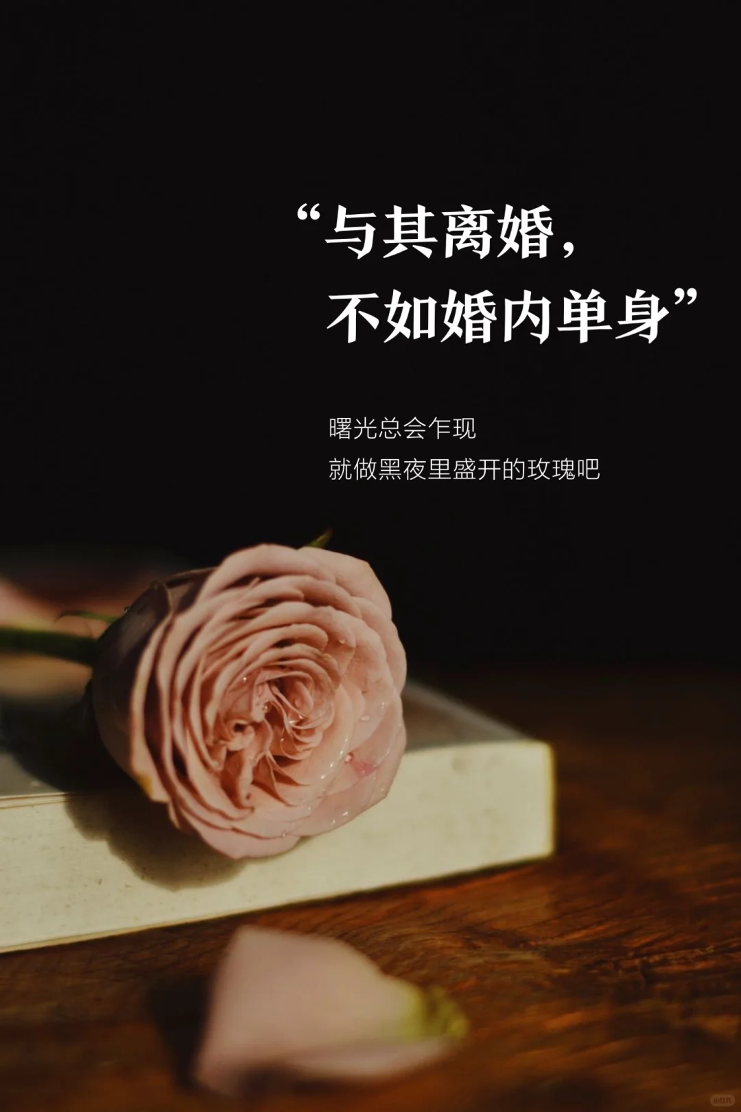 中年婚姻：与其离婚，不如婚内单身