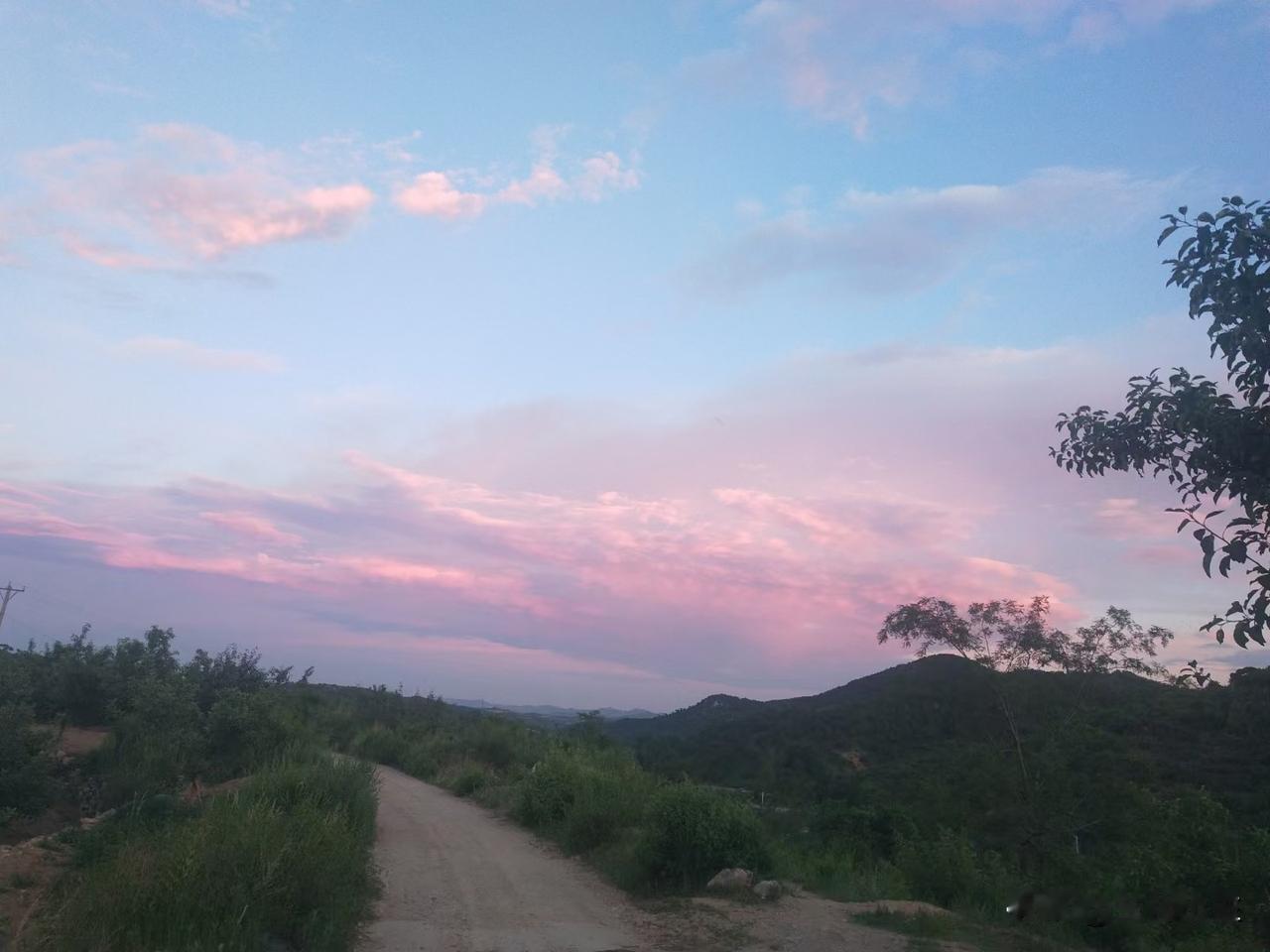 今天去单位报表，马上要退休了，年终报表我还是要帮忙填好。

上午阳光很足，单位没