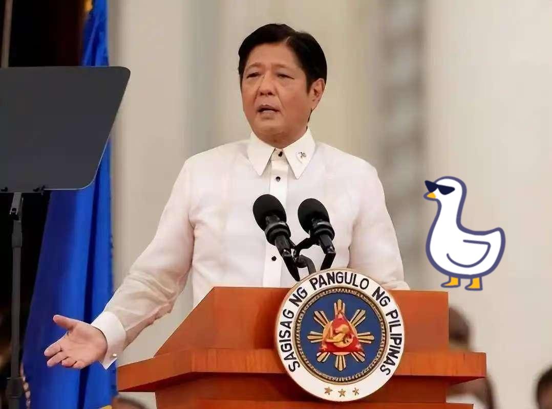 菲律宾宣布进入国家灾难状态。
当地时间11月6日，菲律宾总统马科斯宣布，受台风“