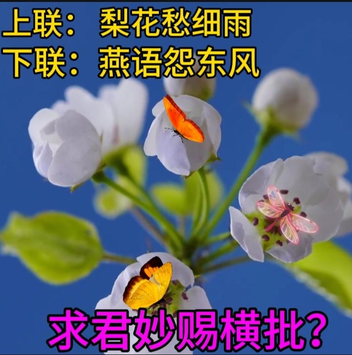 上联：梨花愁细雨，请对一个下联下联：燕语怨东风