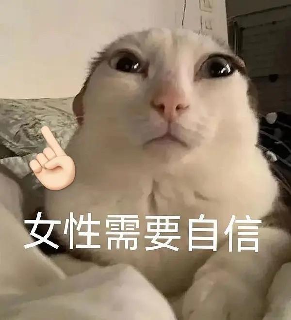 #萨顶顶回应登上摇猫榜第一名#这猫圈终究是让萨丁页闯进去了[允悲][允悲][允悲