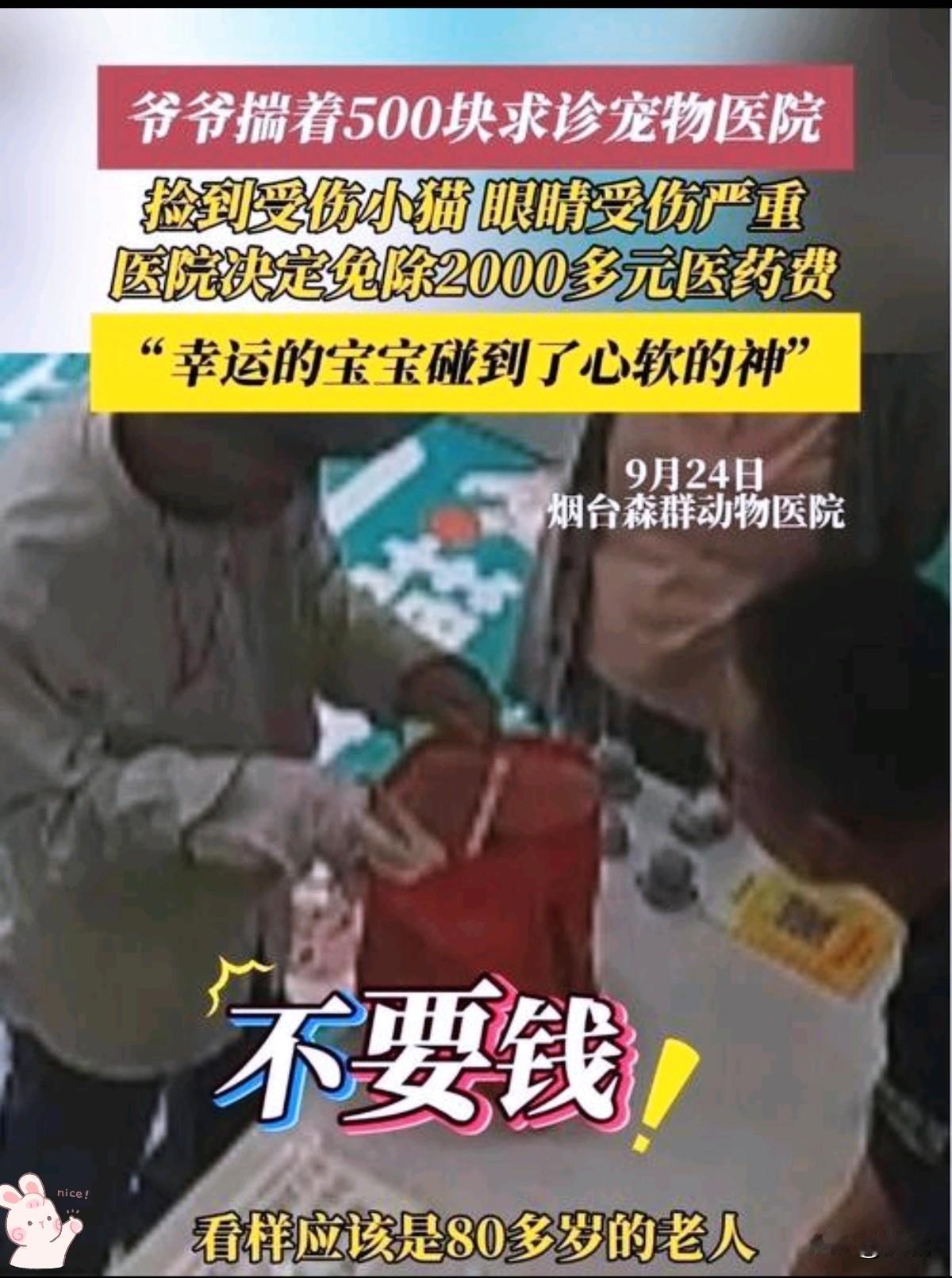 他攥着半生积蓄走进宠物医院，却为一只眼睛溃烂的野猫。
医生接过那叠皱巴巴的纸币，
