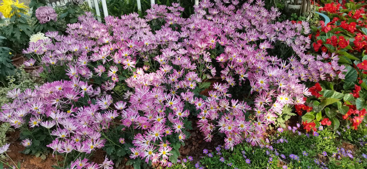 海油票如此应对主力！
股价处于5日均线上方就持股，若有效跌破5日均线则减仓
股价