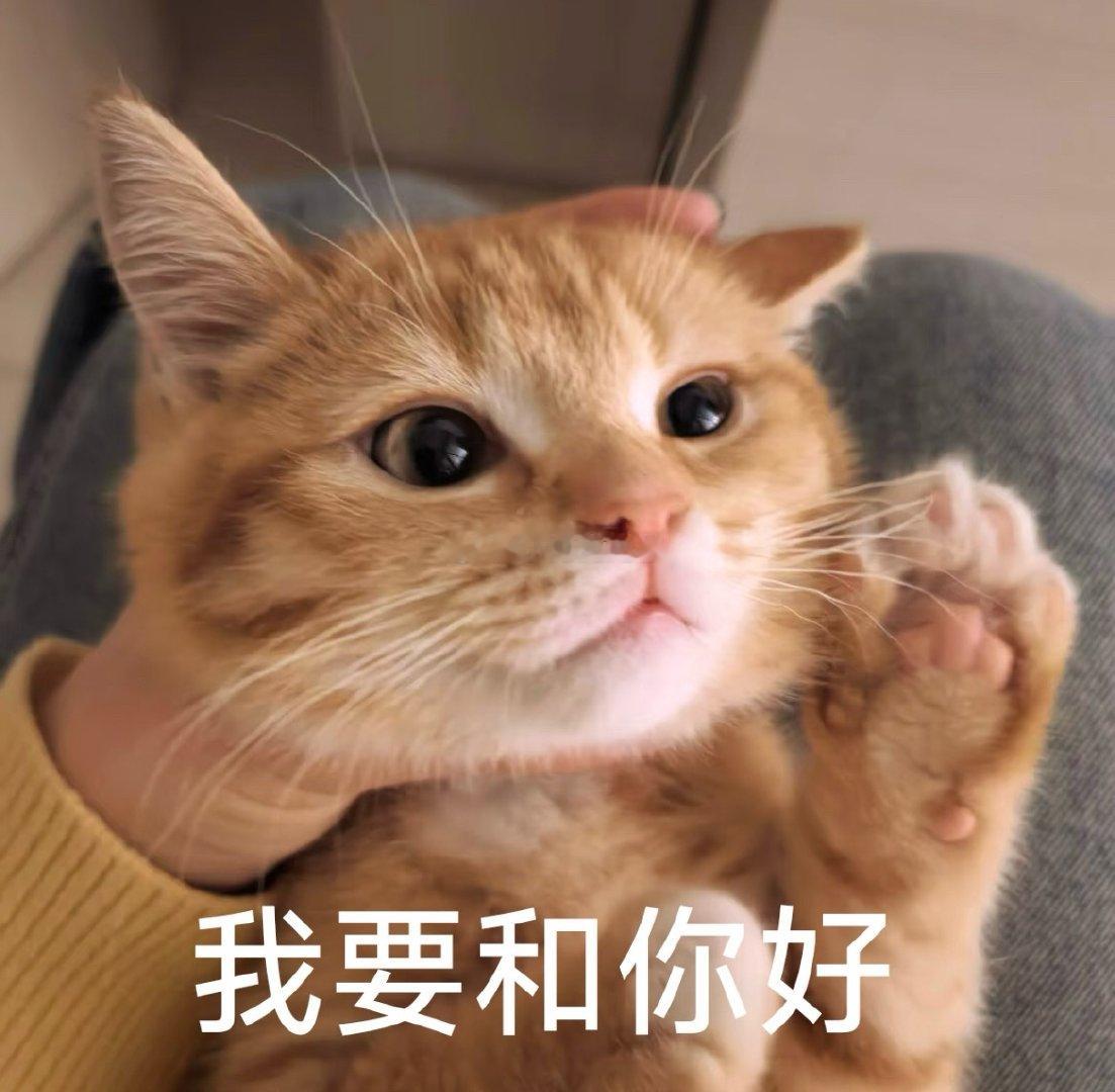 🐺的安全感真的无可比拟！前几天家里冰箱坏了昨天就联系售后上门来修，我专门约了晚