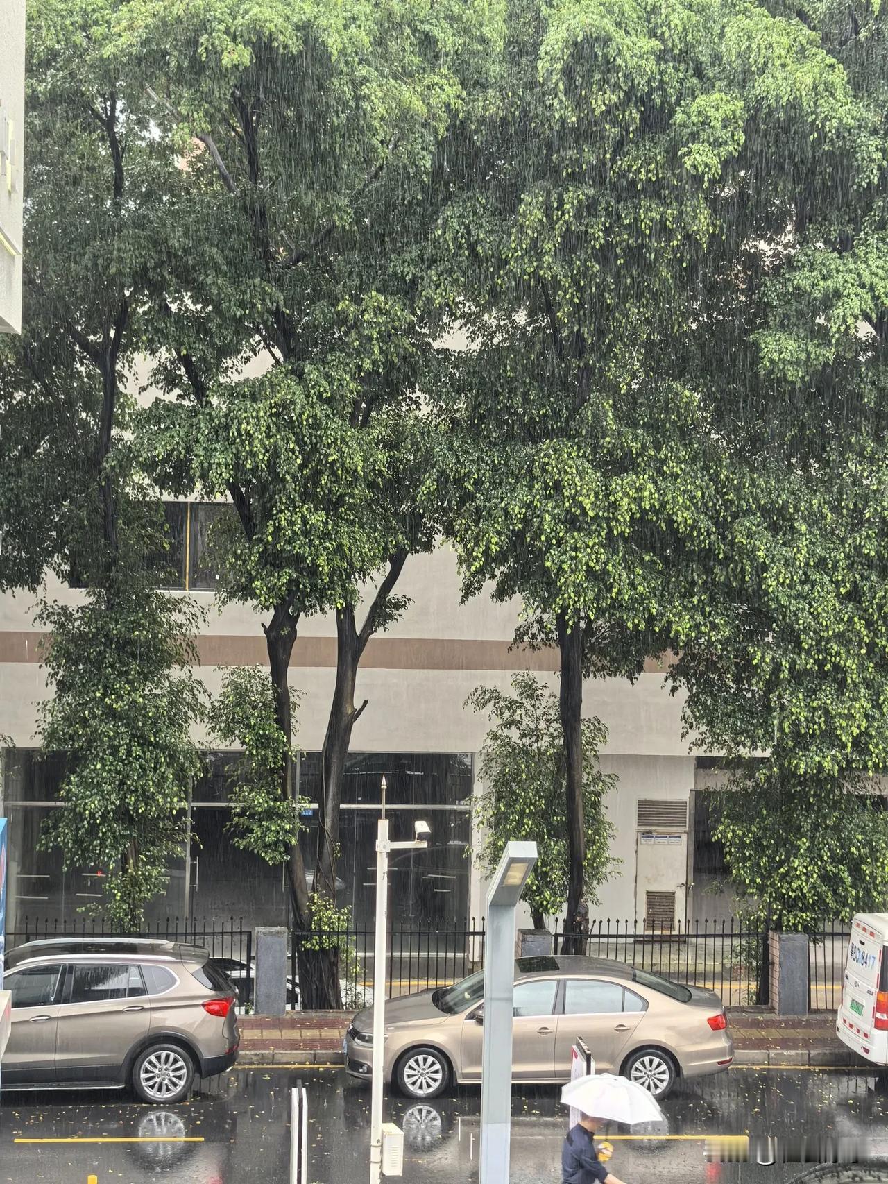 今天深圳全市暴雨黄色预警！

从早上六点到现在，福田一直在下雨🌧️。尽管雨势没