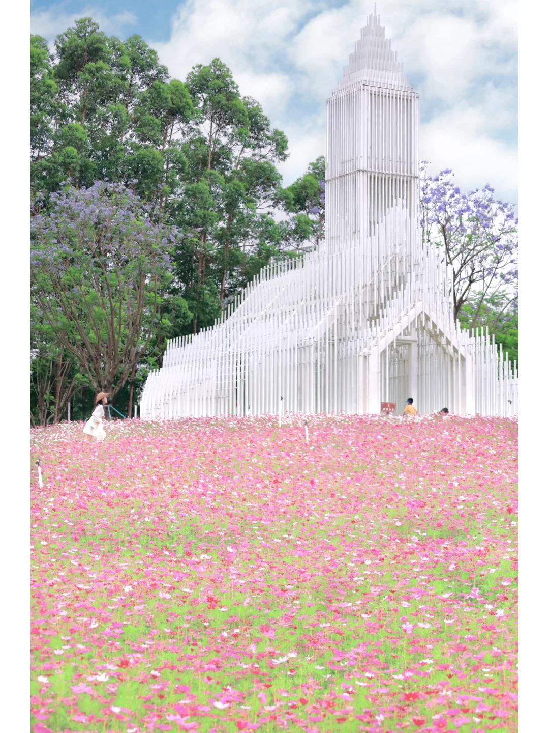广州驾车40分钟🚗被粉花海包围的浪漫教堂💒