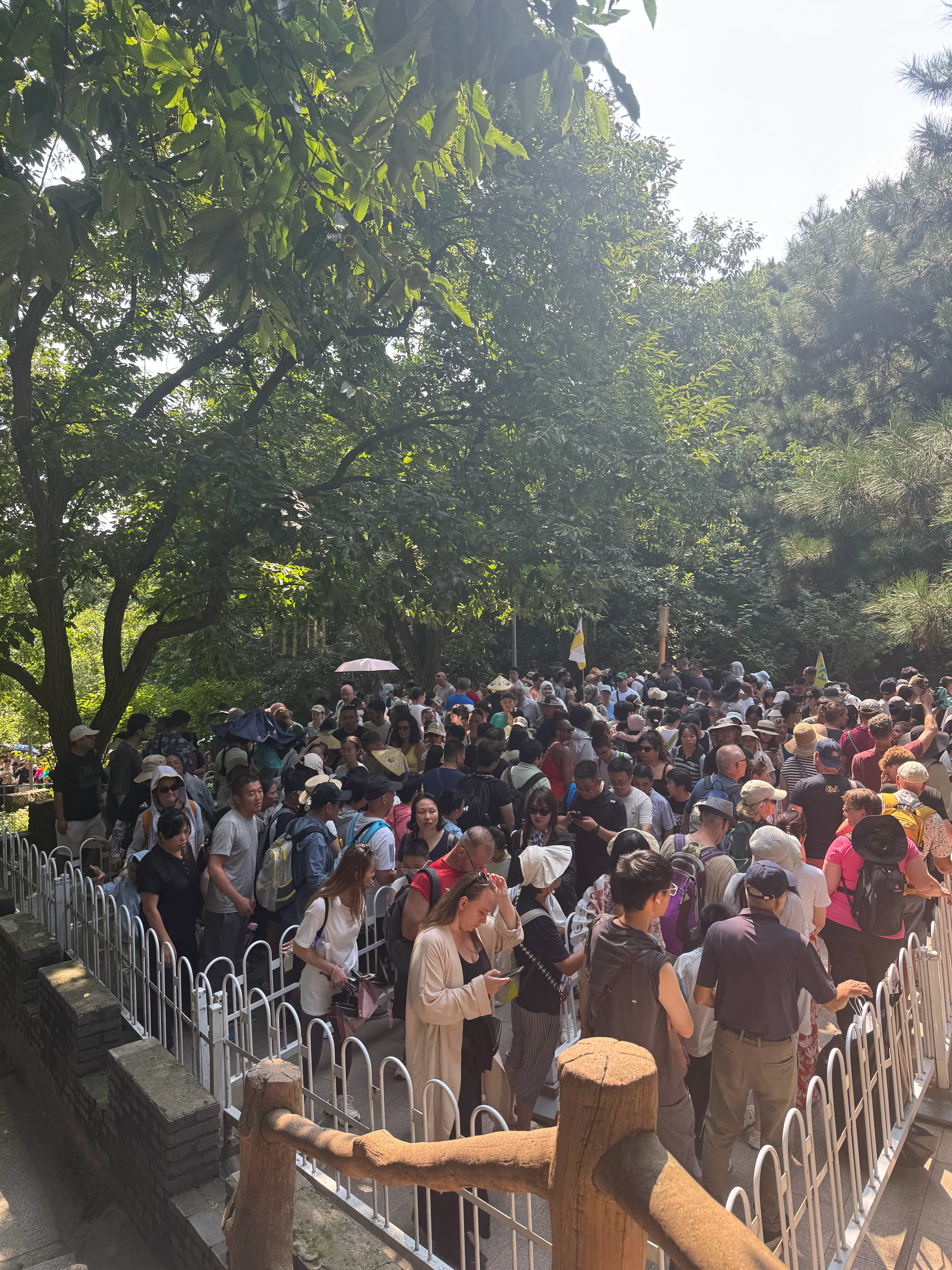 来都来了。 
