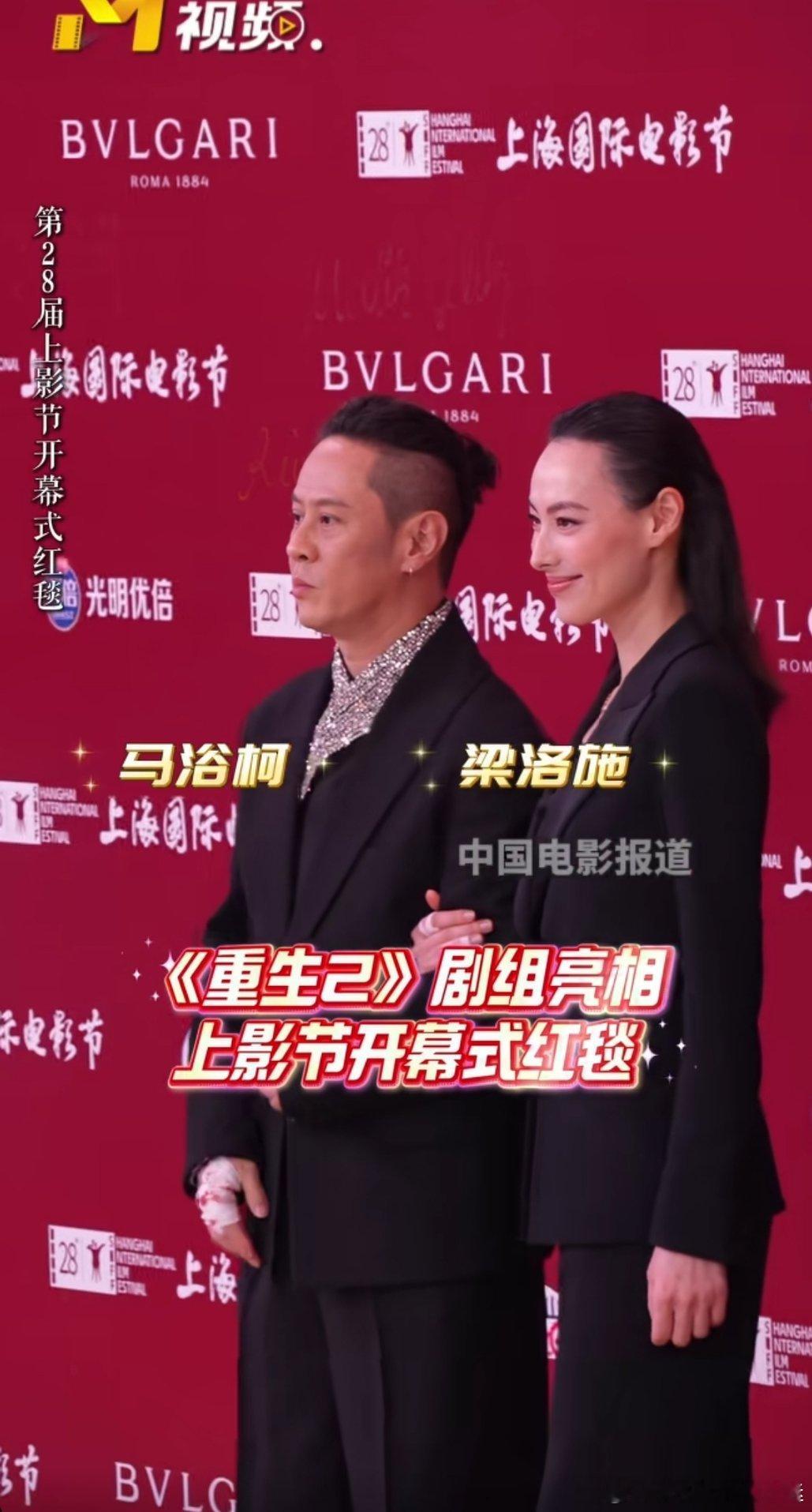 耳朵真高属实少见 