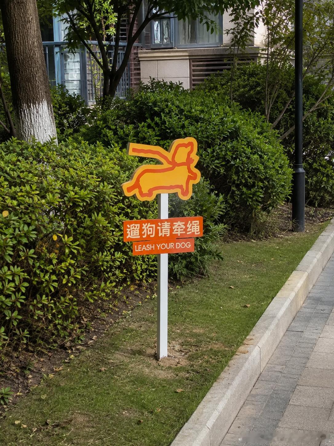 318 “遛狗请牵绳”[柯基] ​​​