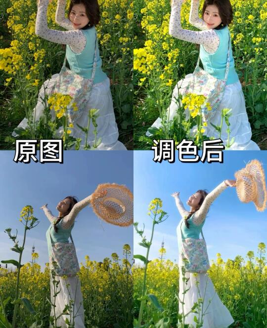 终于知道这种春日油菜花怎么调了 好好看啊！