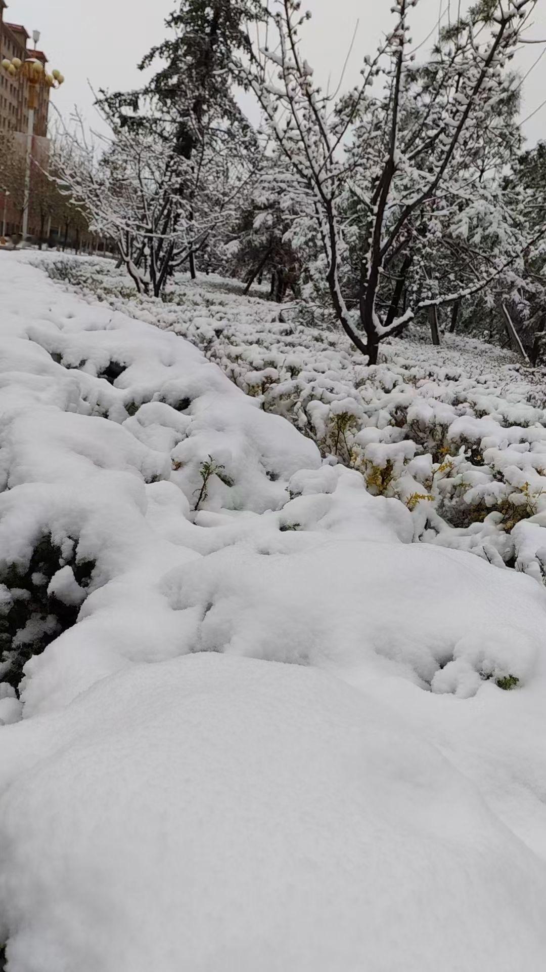 五月的甘肃❄️[鲜花]网友发的甘肃张掖民乐县照片五月的雪 ​​​