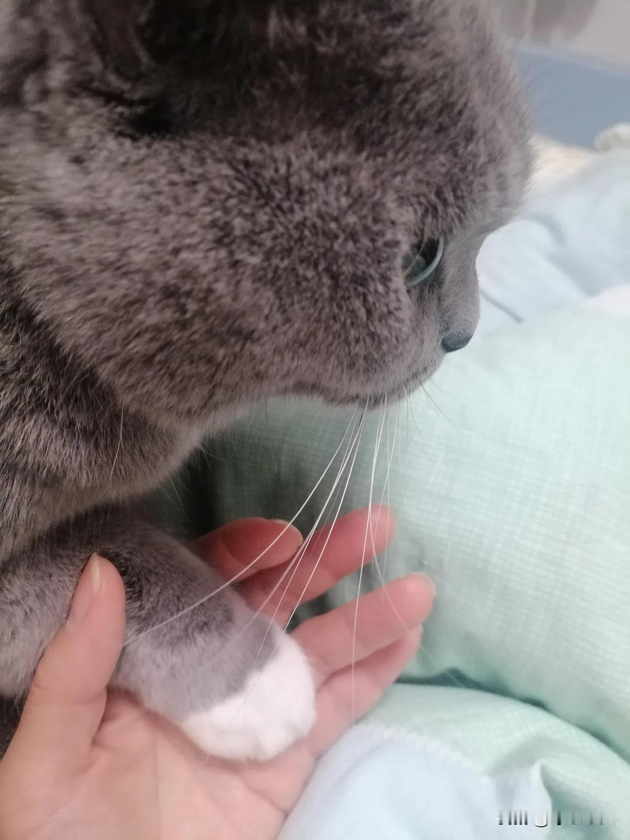 我是三分钟热度的人，喜欢一个东西，爱一个人都做不到长久。

如果我能喜欢很久，一