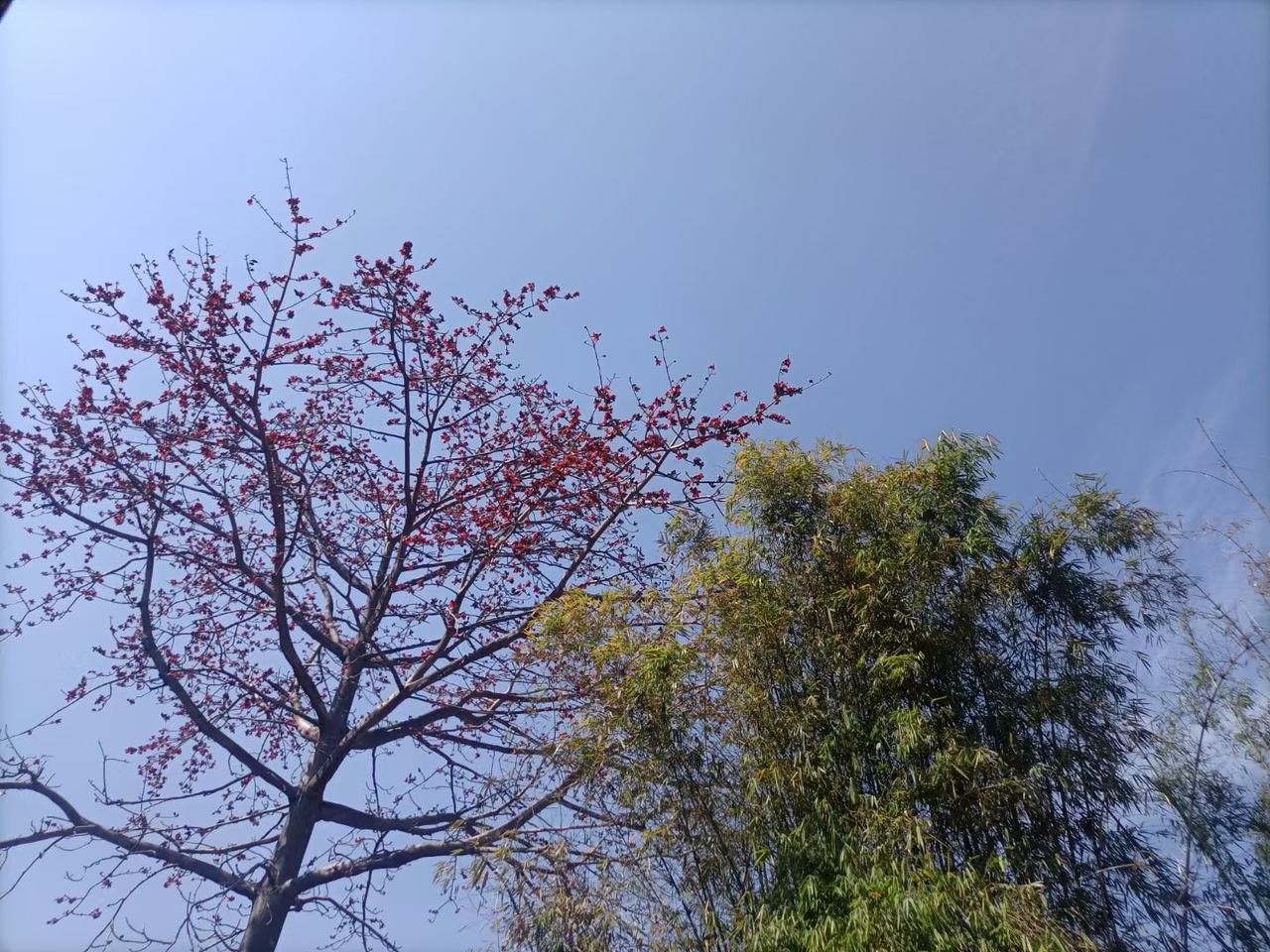 43岁的我今天和他签了离婚协议
 
没有哭，没有歇斯底里，连叹气都少。
 
其实