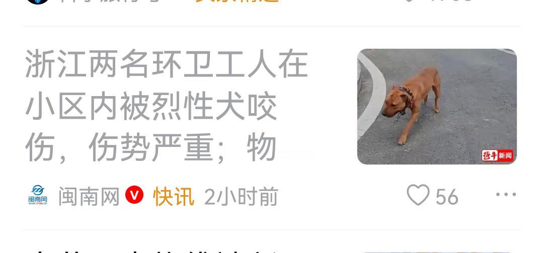 浙江绍兴两名环卫工在小区内被一只比特犬撕咬，其中一人手臂皮肉撕裂，辗转多家医院救