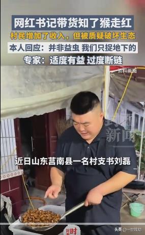 有人吃饱了撑的，竟然指责抓知了猴破坏生态？指责一位辛苦带村民致富的村书记“掠夺式