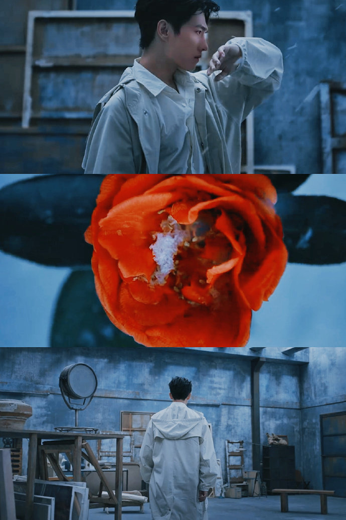 #杨洋演出了生命力# #杨洋傲雪少年与红色花蕊# 杨洋演出了生命力，是傲雪少年与