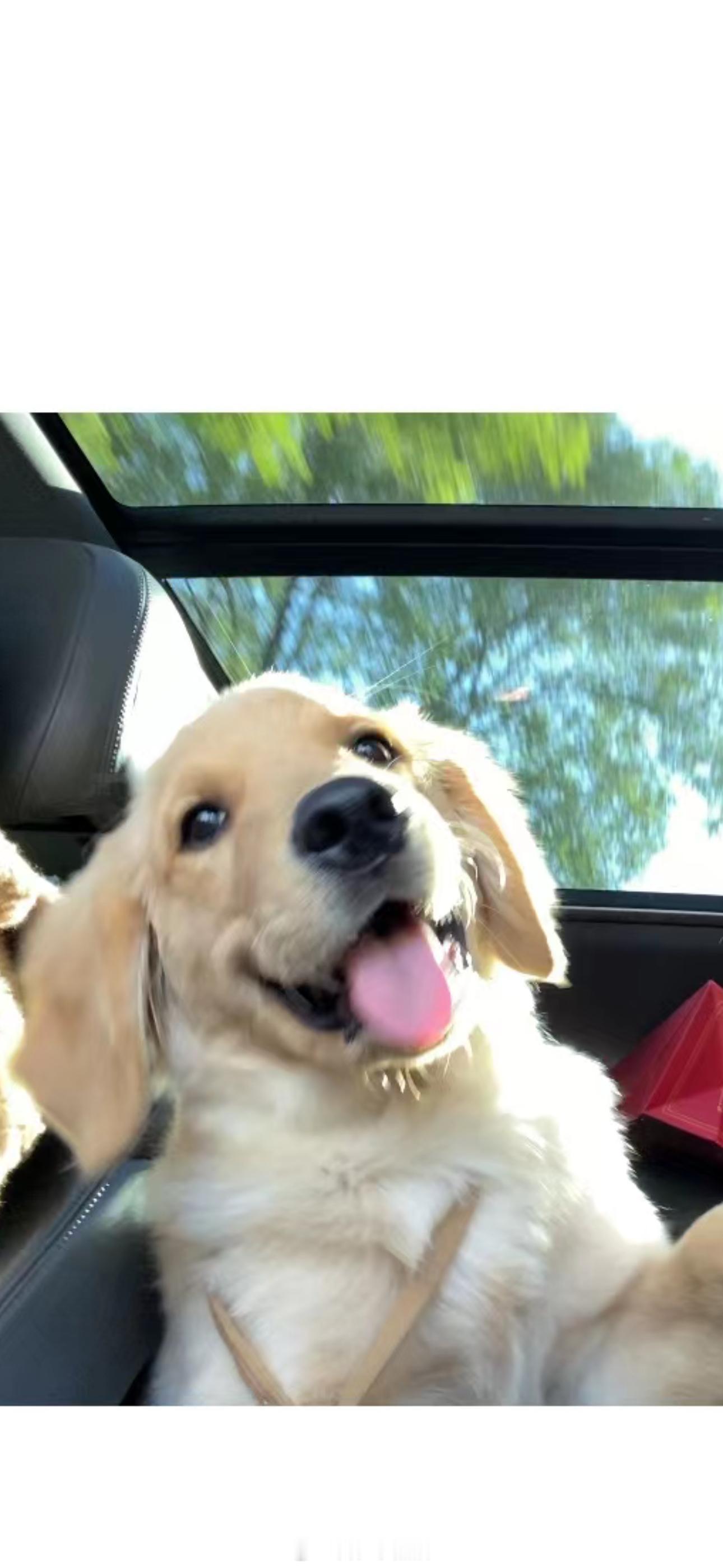 相册是一本心酸的回忆使生活手记 ​​​