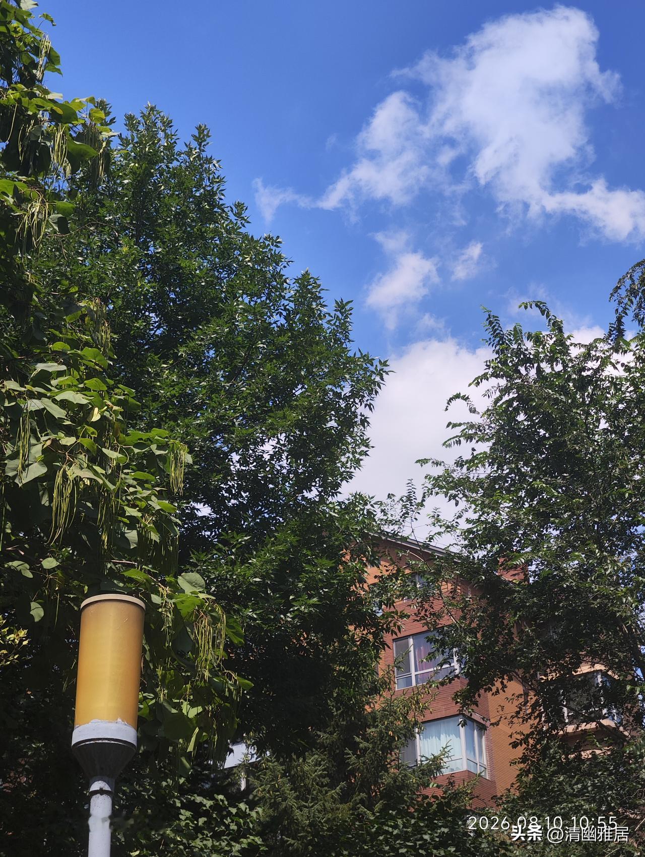晒图笔记大赛昨天下了大雨，雨停就云散天晴，温度一下子就上来了。