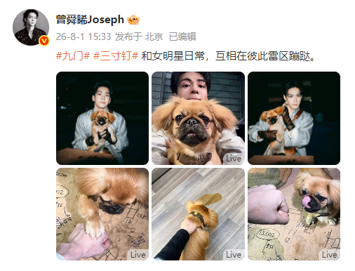曾舜晞三寸钉狗爪在上原则曾舜晞的房车指定有点说法《九门》曾舜晞三寸钉狗爪在上原则