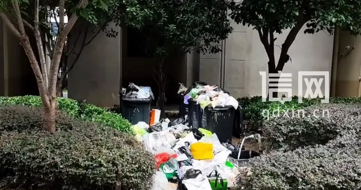 保洁没发工资停工三日 武汉龙湖春江郦城垃圾点爆满 物业：已恢复清运并理顺拨付流程