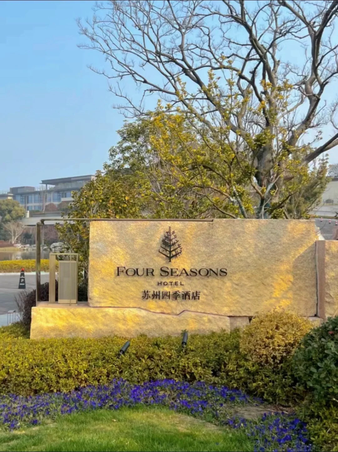 半价转让苏州四季酒店🏨含双早