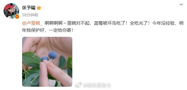 张予曦 卢昱晓对不起张予曦打算给卢昱晓的蓝莓被鸟吃了 笑死！张予曦的蓝莓快递被鸟