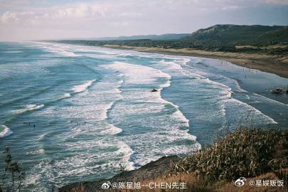 陈星旭毛茸茸认证 鸟岛打卡，毛茸茸上线，陈星旭分享的治愈海风与飞鸟，仿佛把那份宁